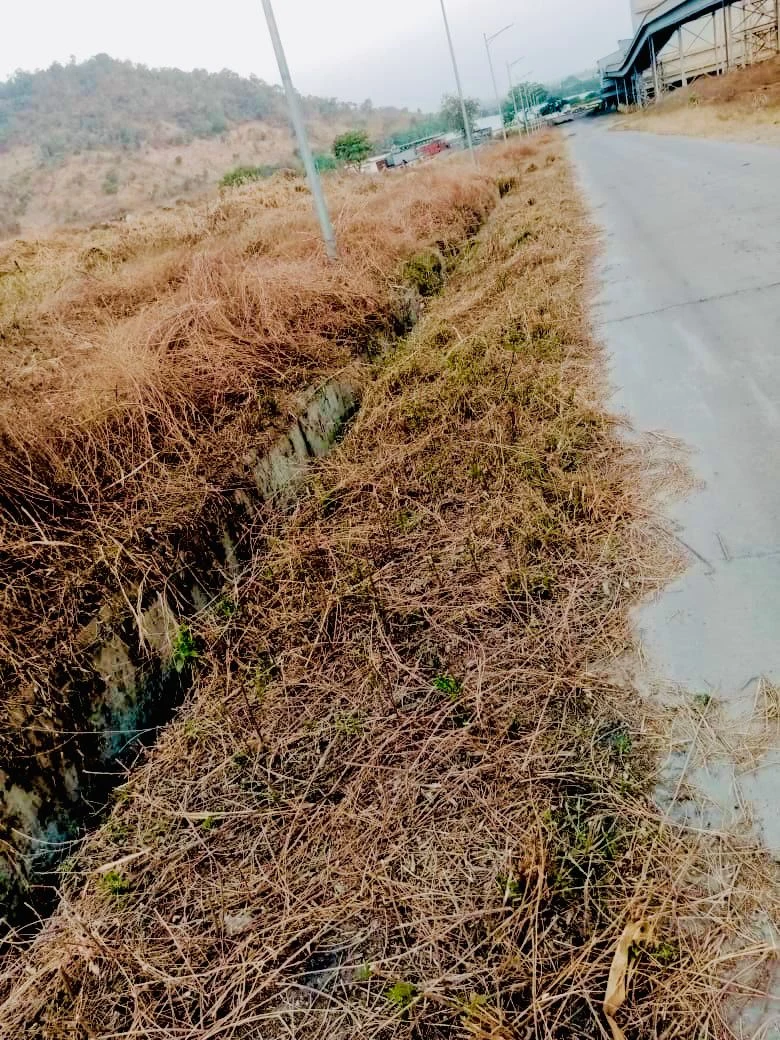 Supplied site photograph showing a roadside drainage channel with surrounding vegetation
