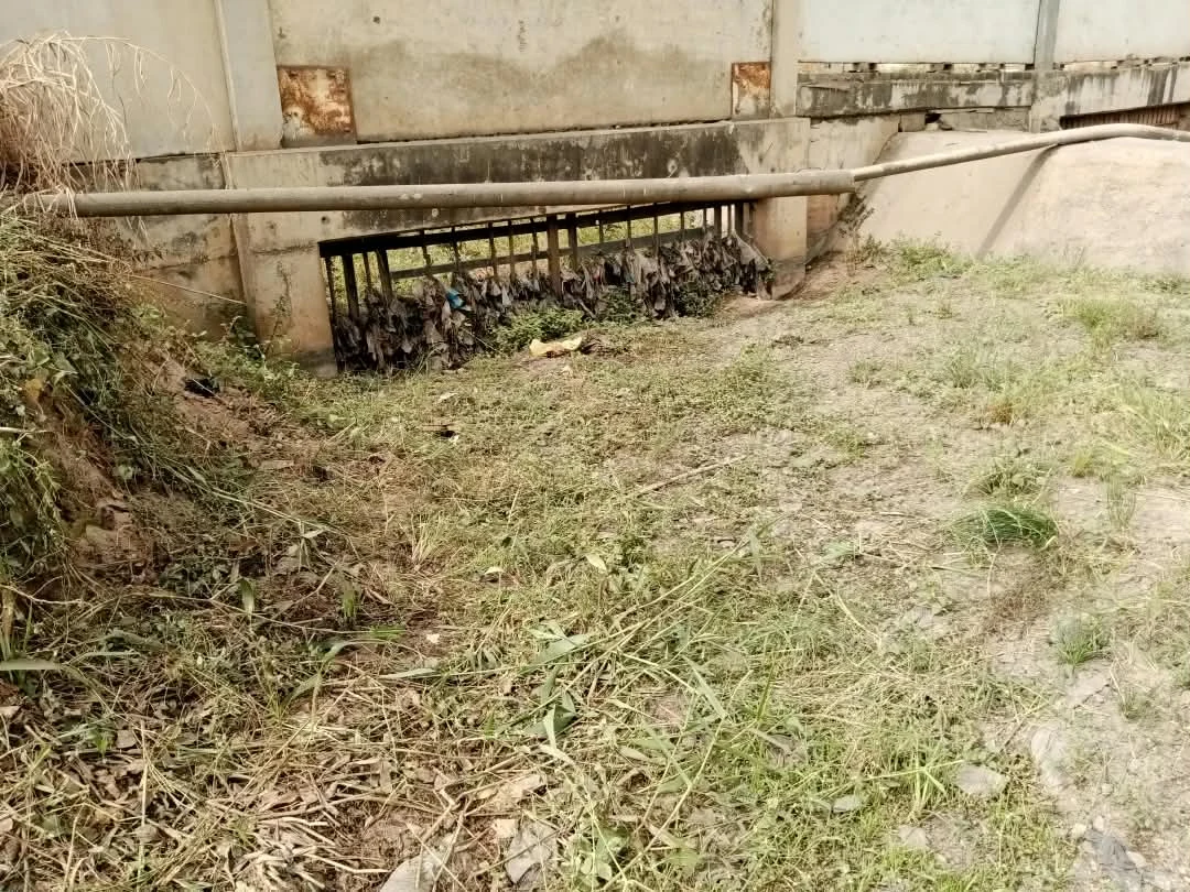 Supplied site photograph showing vegetation and debris around a barred drainage inlet